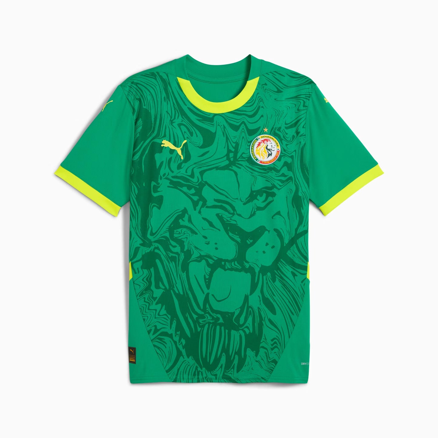 Maillot Sénégal Extérieur 2026 - Coupe du Monde